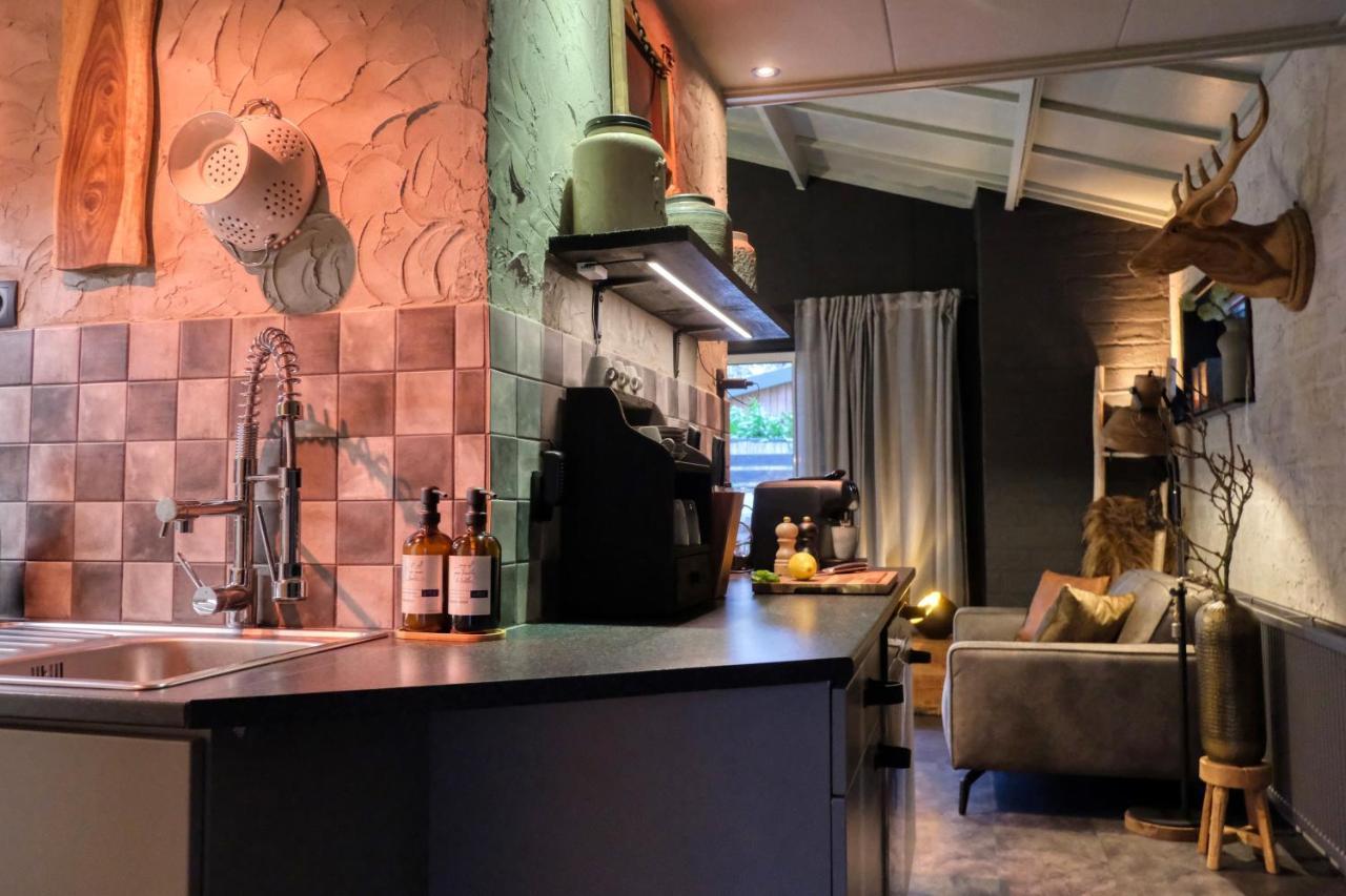 Lodge In Een Bosrijke Omgeving Met Hottub & Sauna Opt Rheezerveen Eksteriør billede