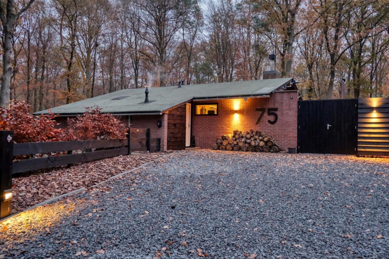 Lodge In Een Bosrijke Omgeving Met Hottub & Sauna Opt Rheezerveen Eksteriør billede