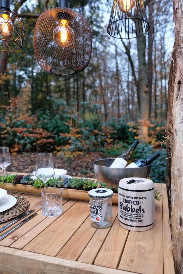 Lodge In Een Bosrijke Omgeving Met Hottub & Sauna Opt Rheezerveen Eksteriør billede